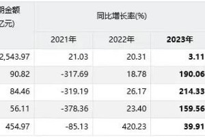2023年分析速递：华能国际(600011.SH)公司
